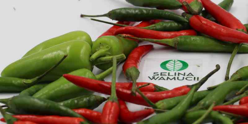 List of chilli exporters in Kenya