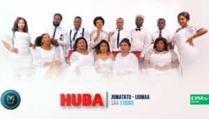 Huba TV series
