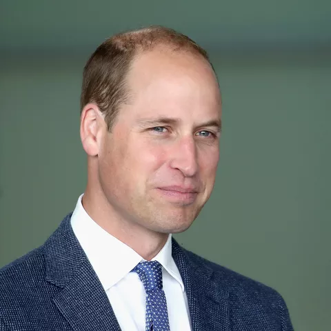 Prince William biography, relationships, career, age